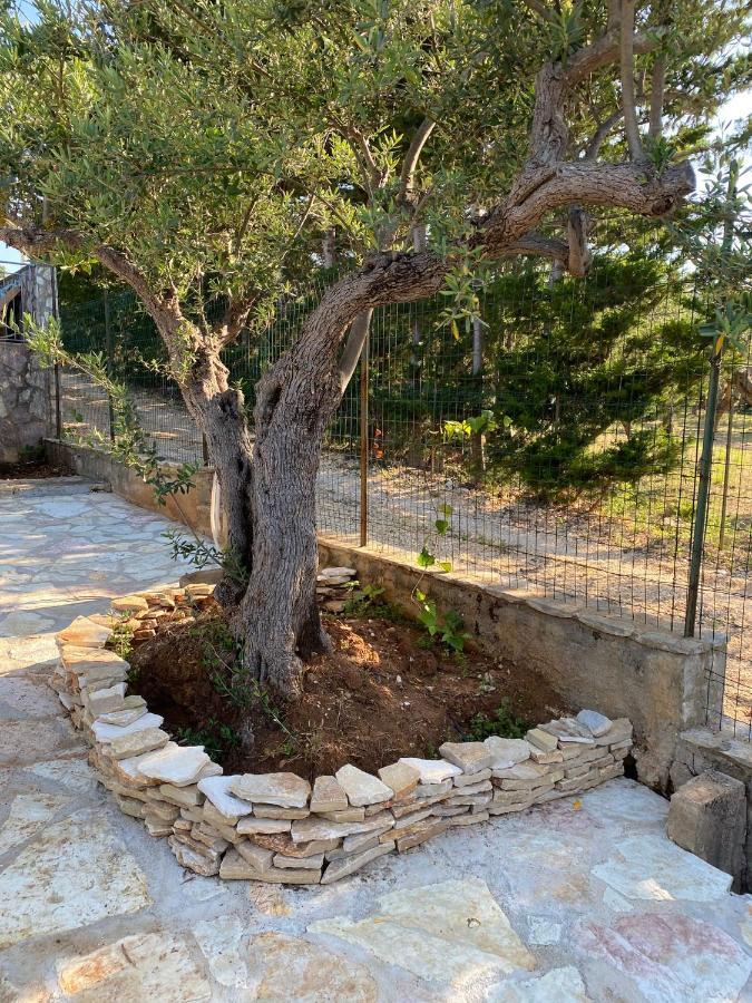 Villa L'Orizzonte Di Calabianca Castellammare del Golfo Εξωτερικό φωτογραφία