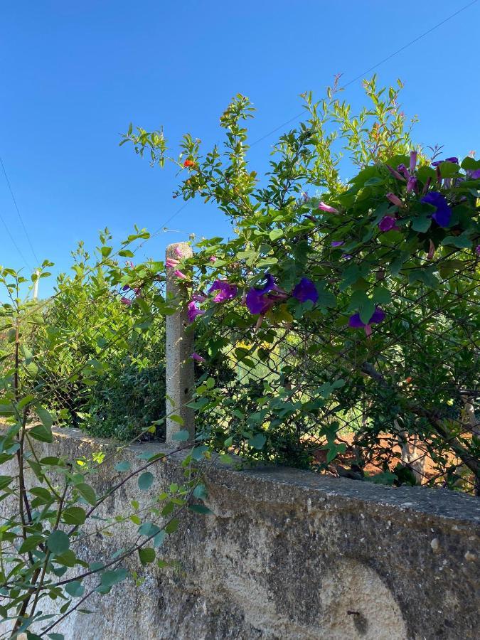 Villa L'Orizzonte Di Calabianca Castellammare del Golfo Εξωτερικό φωτογραφία
