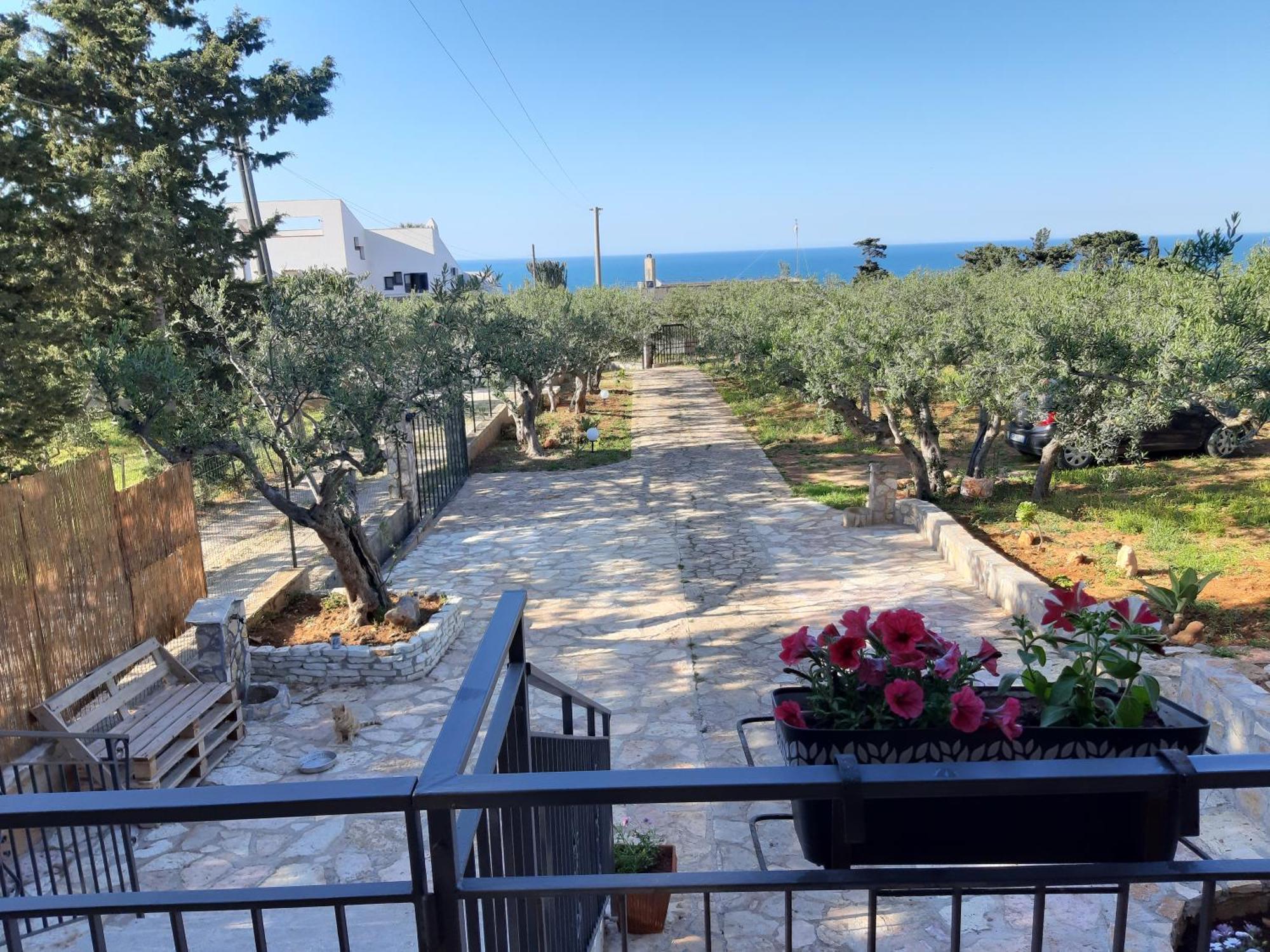 Villa L'Orizzonte Di Calabianca Castellammare del Golfo Εξωτερικό φωτογραφία