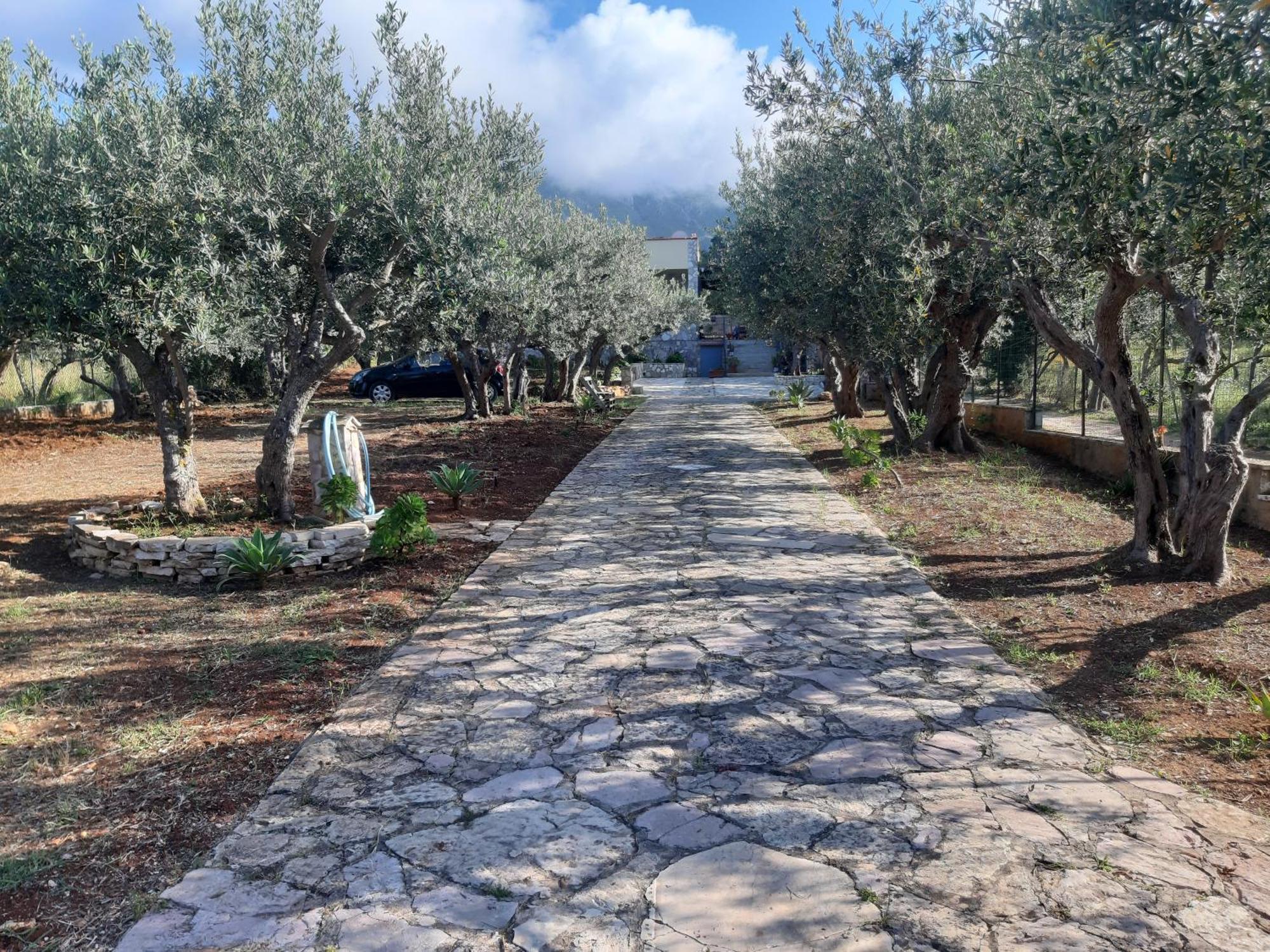 Villa L'Orizzonte Di Calabianca Castellammare del Golfo Εξωτερικό φωτογραφία