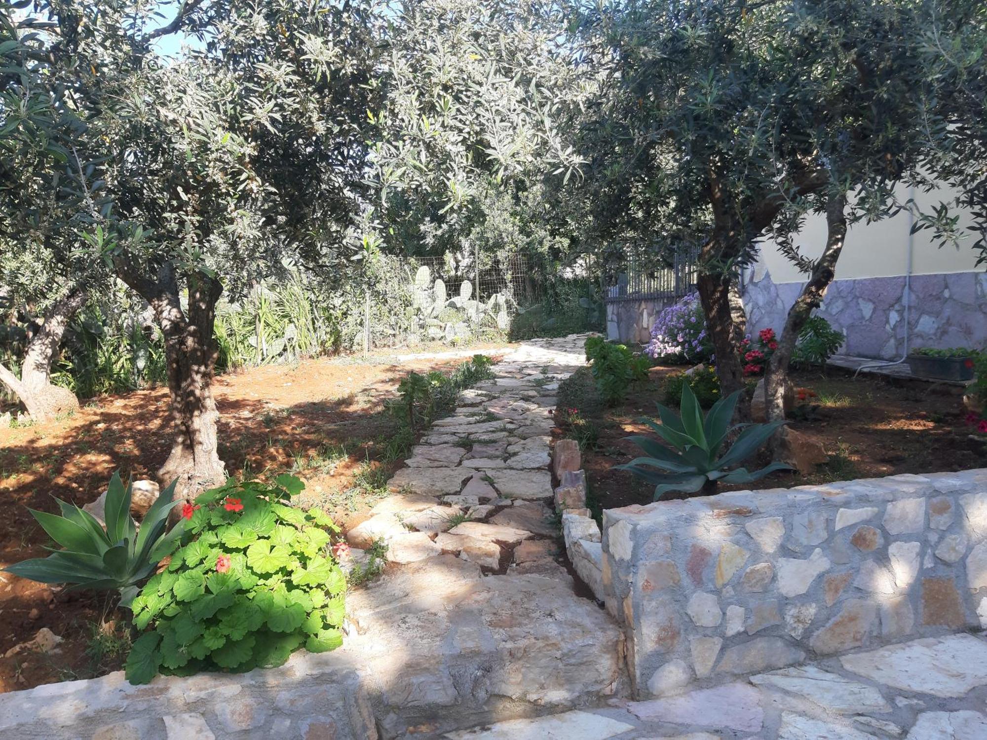 Villa L'Orizzonte Di Calabianca Castellammare del Golfo Εξωτερικό φωτογραφία