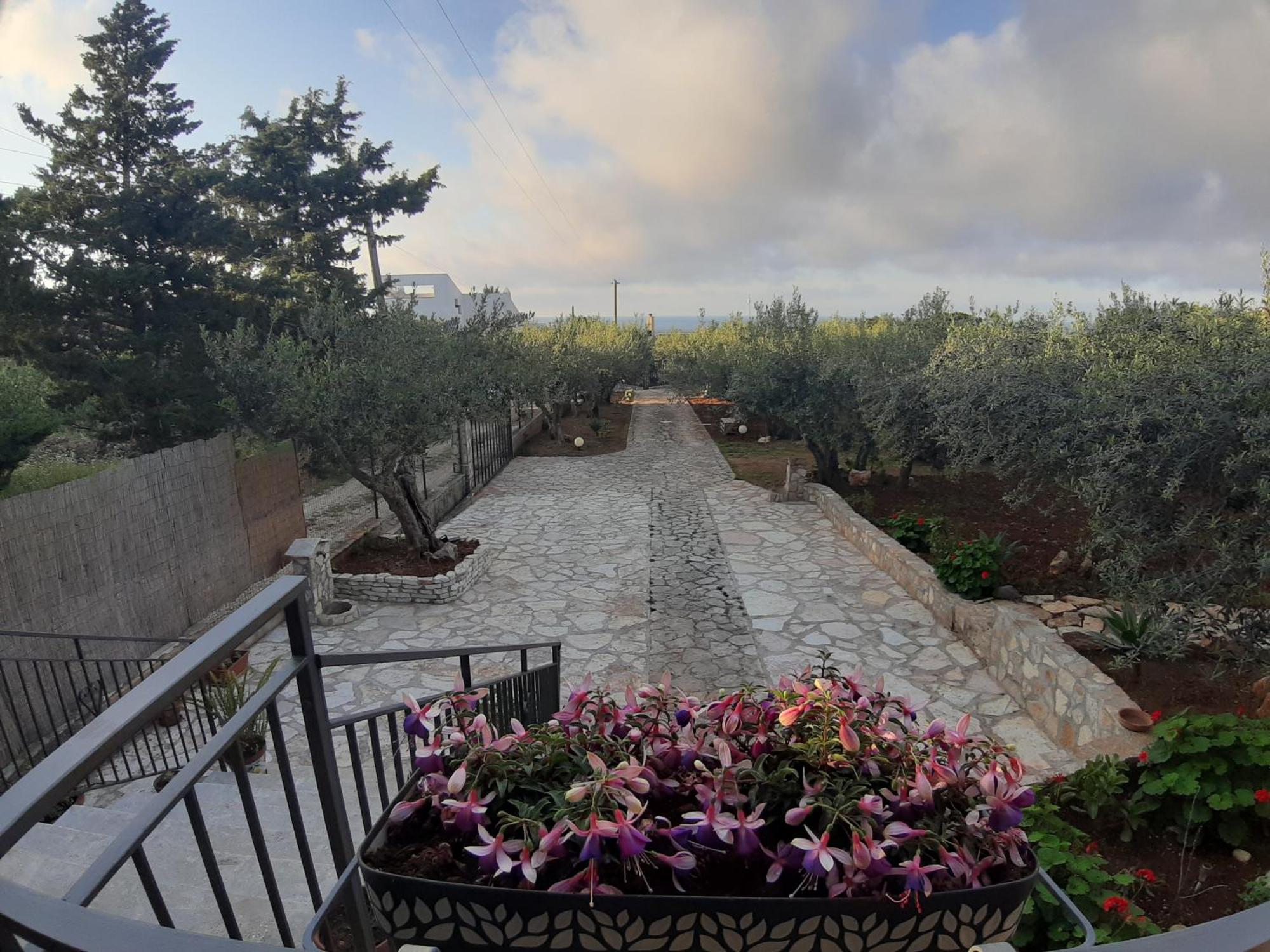 Villa L'Orizzonte Di Calabianca Castellammare del Golfo Εξωτερικό φωτογραφία