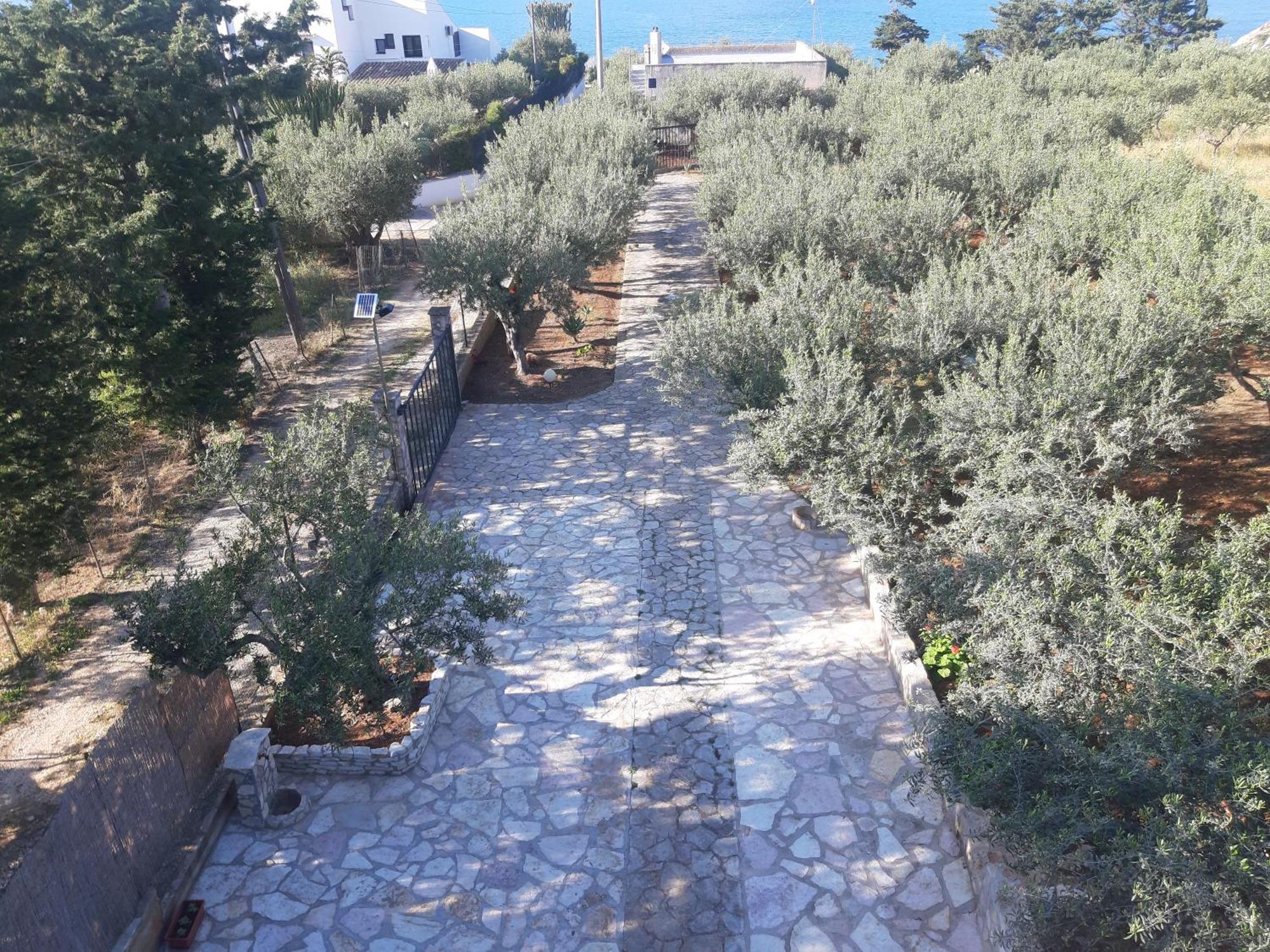 Villa L'Orizzonte Di Calabianca Castellammare del Golfo Εξωτερικό φωτογραφία